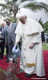 Послання Папи Франциска з нагоди Всесвітнього дня молитви за збереження створіння